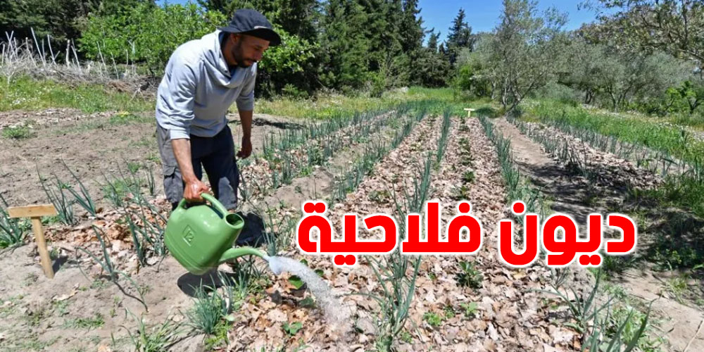 إذا إنت  فلّاح وعندك ديون...من اليوم تنجّم تجدولها على 7 سنين 