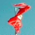 L'armée nationale hisse un drapeau géant de la Tunisie