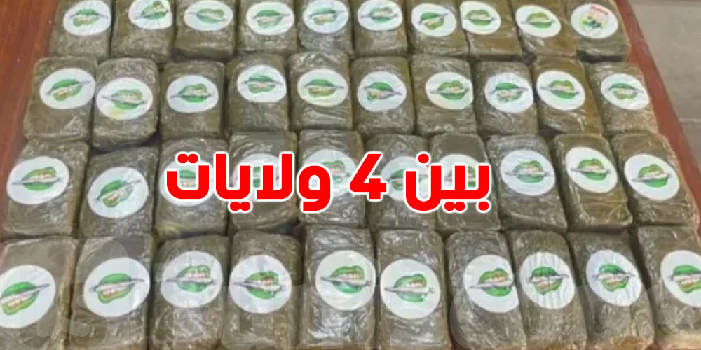 من القصرين إلى تونس الكبرى: الحرس الوطني يفكّك شبكة لتهريب وترويج المخدرات