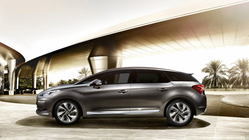 ds5-15.jpg