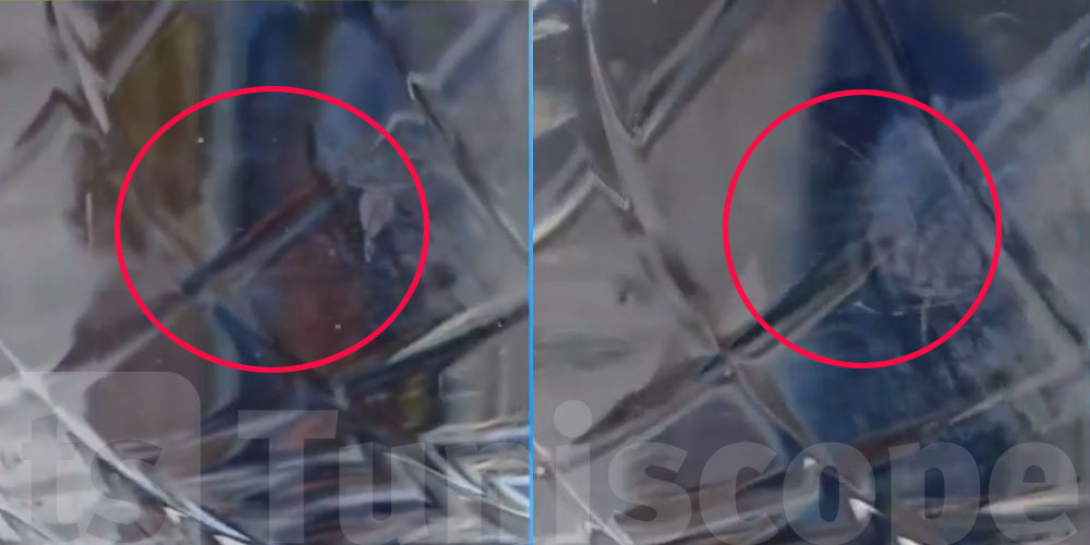 عاجل: رواسب وأجسام غريبة في قوارير مياه مُعلبة.. خبير يكشف الحقيقة