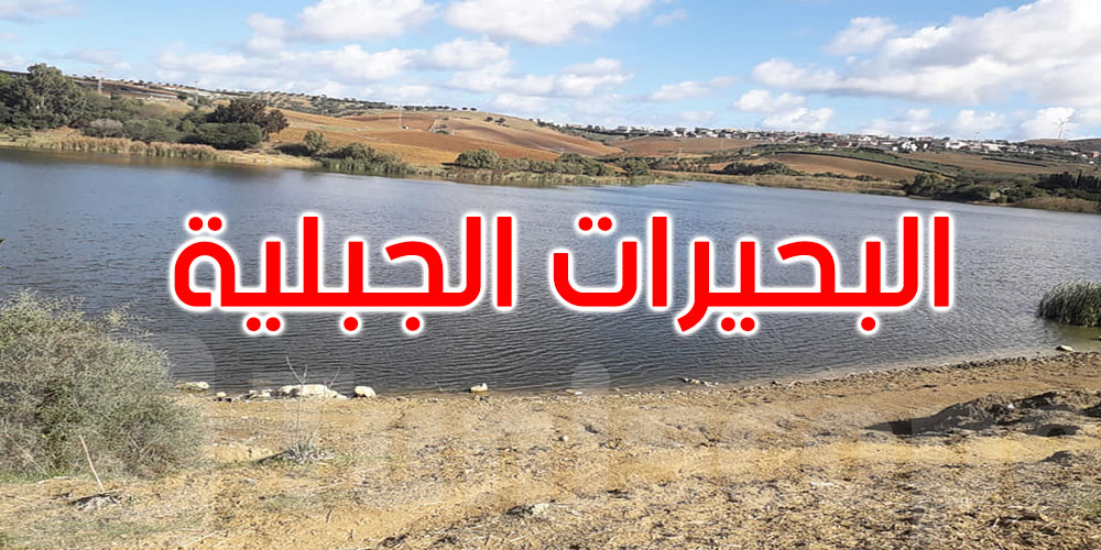 وزير الفلاحة يوصي بإعداد مخطط عاجل لحصاد مياه الأمطار