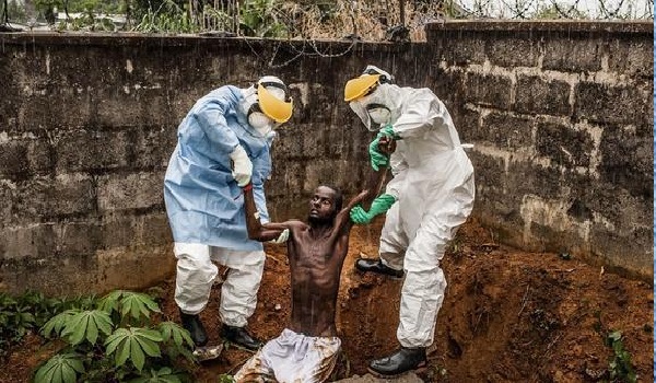 Deux vaccins expérimentaux prometteurs contre le virus Ebola