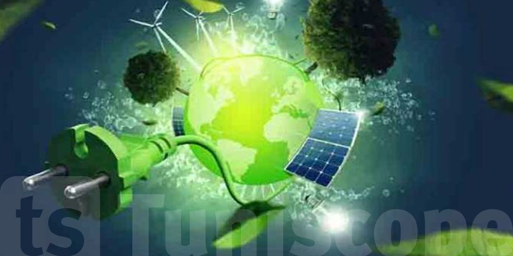 la formation à la conduite écoénergétique, une priorité pour le gouvernement