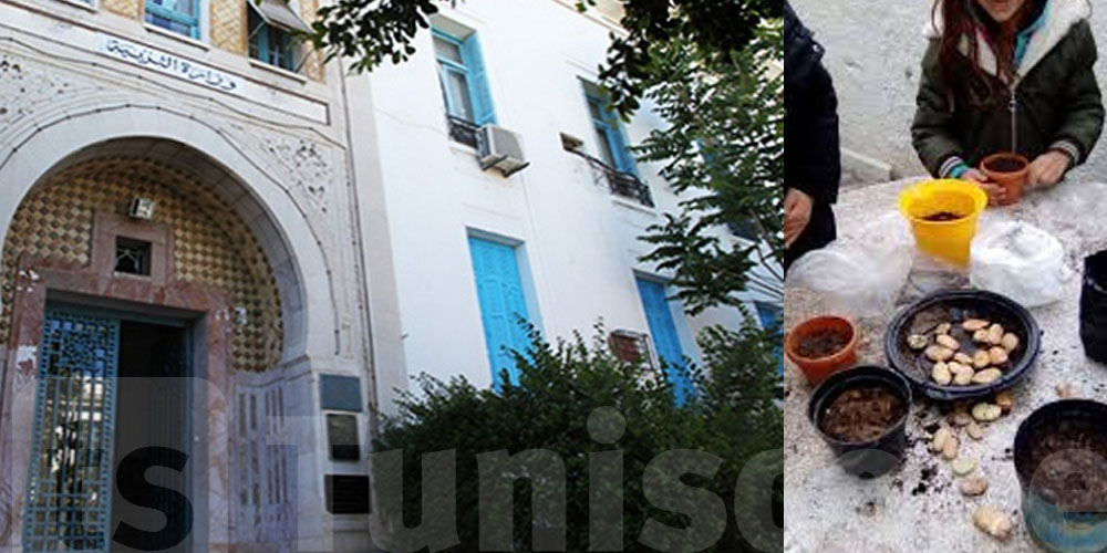 La « Foula » et le « Mansaj » font peau neuve : place aux projets réalisés en classe !