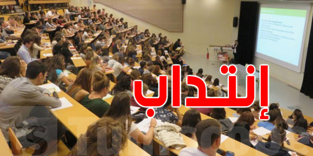 وزير التعليم العالي: انتداب 1100 أستاذ جامعي