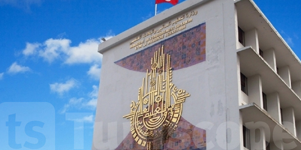 وزارة التعليم العالي تزف بشرى لمن سيتفوقون في باكالوريا 2024