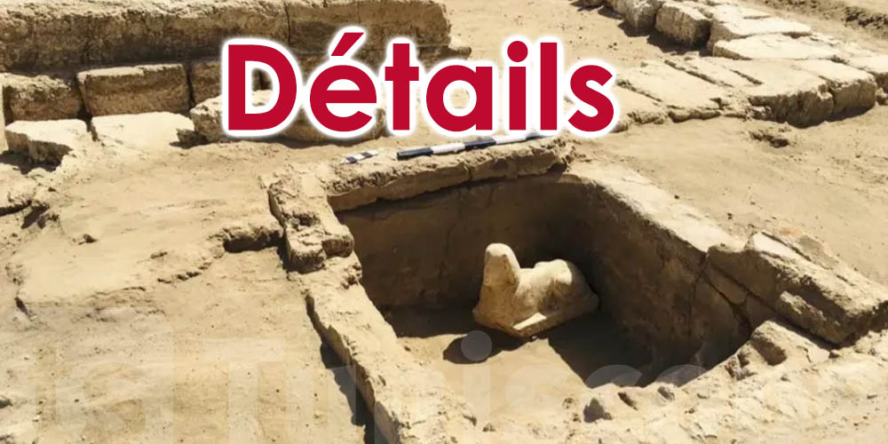 Egypte : 2 000 têtes de bélier momifiées découvertes à Abydos