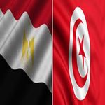 Préparatifs CAN 2013 : Annulation du match Tunisie-Égypte
