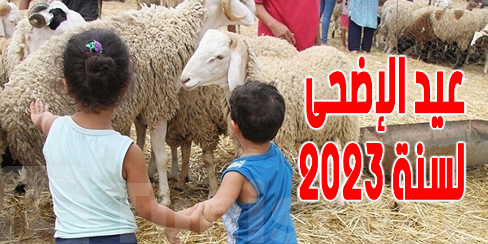قبلي : تراجع بـ40 % في عدد الاضاحي