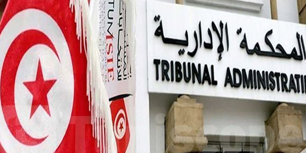 87 أستاذ قانون يطالبون هيئة الانتخابات بتنفيذ أحكام المحكمة الإدارية