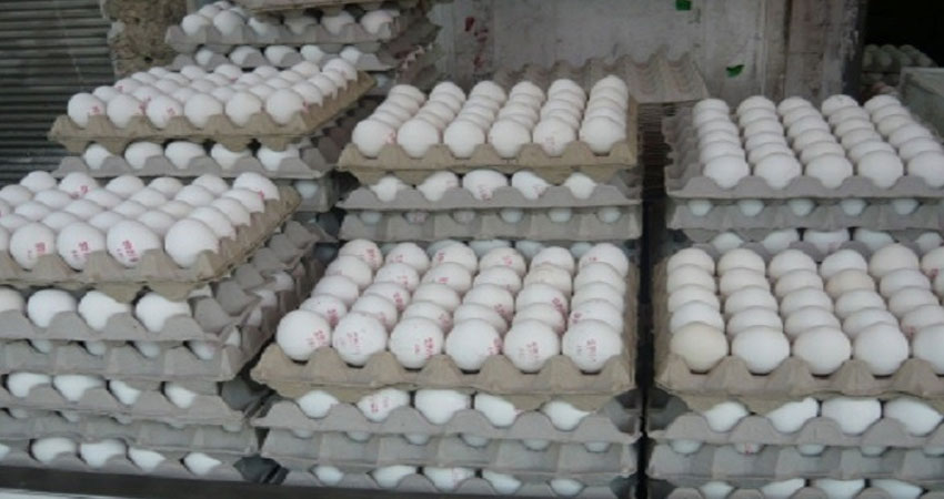 الكاف :حجز 6 آلاف بيضة