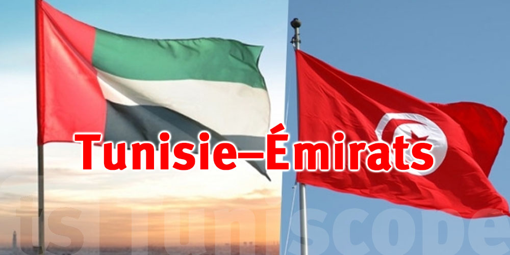 Citoyens tunisiens aux Émirats : voici comment obtenir un visa de transit d’urgence