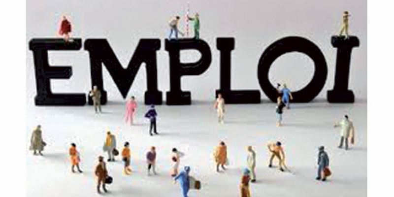 50 milles employés seront recrutés au secteur de la fonction publique