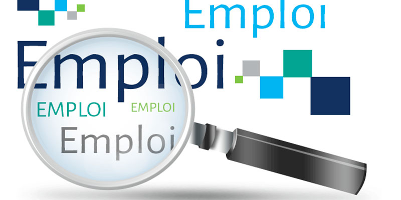 Amélioration relative des indicateurs de l’emploi à Kébili en 2017
