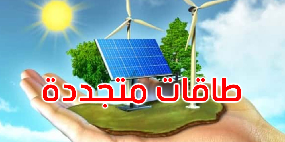 طاقة متجددة: قريبا إطلاق ثلاثة طلبات عروض لتركيب 2000 ميغاواط