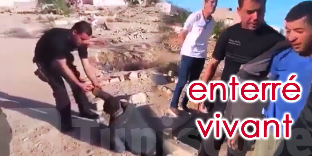 En vidéo : Un citoyen s’enterre vivant et appelle les secours après