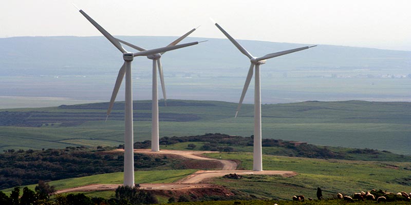 De nouveaux projets d’énergie éolienne au cout de 400 million de dinars