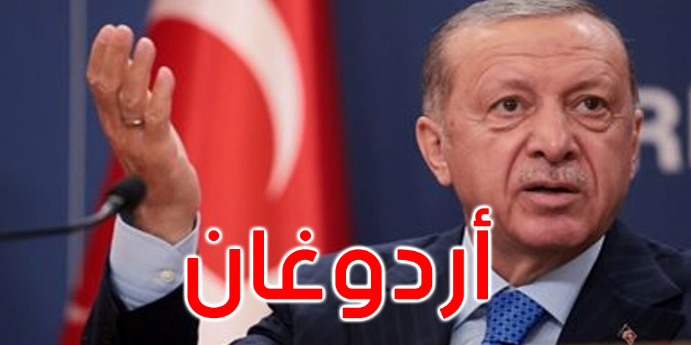 أنقرة تستدعي سفير ألمانيا احتجاجا على تشبيه أردوغان بـ’فأر المجاري’