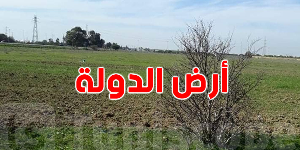 عاجل : منشور وزاري مشترك يُقرّ تسهيلات في سداد ديون مستغلي أراضي الدولة