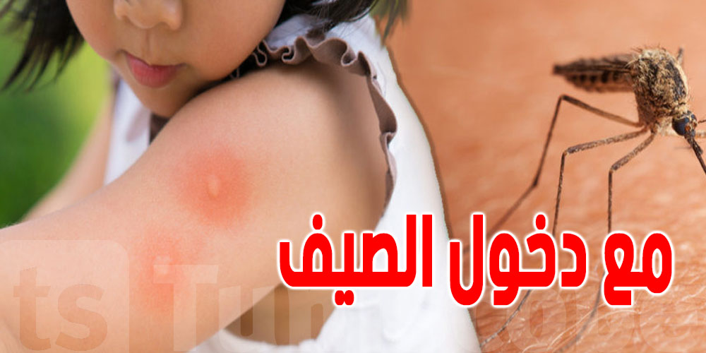 موش كل قرصة ناموسة عادية.. هذا وقتاش تولّي خطيرة