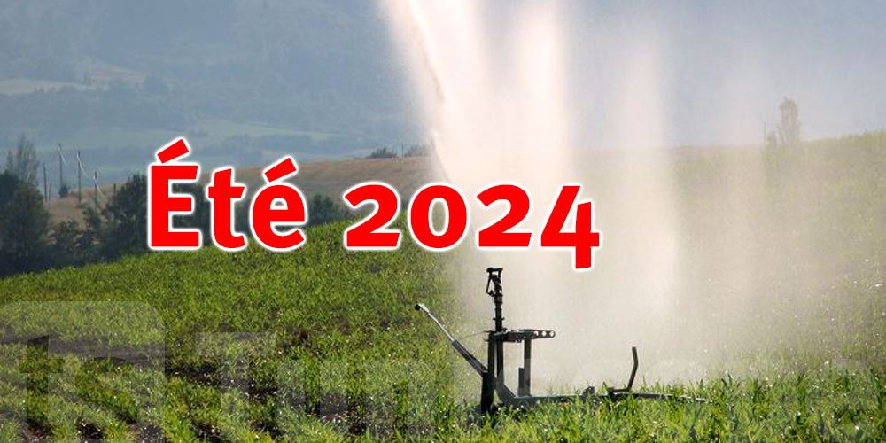Irrigation avec des eaux usées traitées