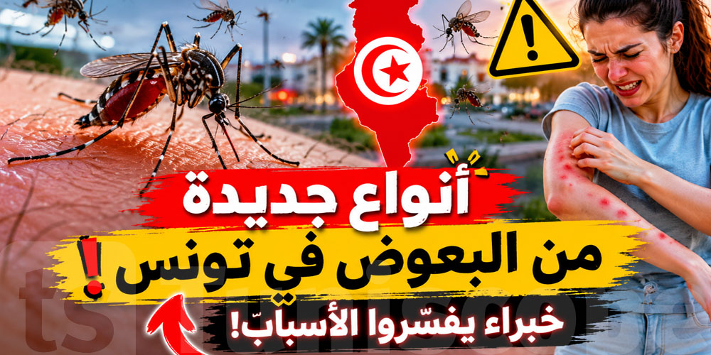 خبر يهم كل التوانسة: البعوض يتكاثر وأنواع جديدة في الصيف !
