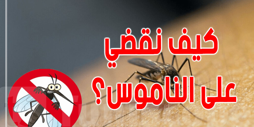صيف دون ناموس؟ 3 أجهزة فعّالة لحماية حديقة منزلك