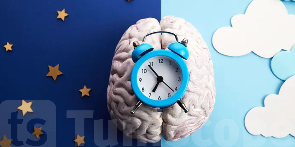 وقتاش المخ يقرر الوقت؟ دراسة تكشف سرّ لازمك تعرفوا !