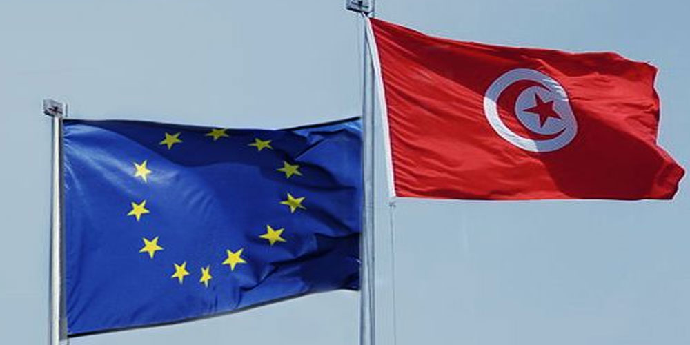  تونس تثمن موافقة الاتحاد الأوروبي على المساهمة في تمويل مشروع الربط الكهربائي مع إيطاليا