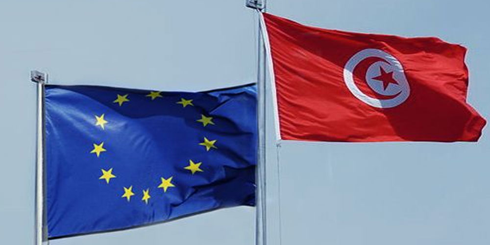 تونس تثمن موافقة الاتحاد الأوروبي على المساهمة في تمويل مشروع الربط الكهربائي مع إيطاليا