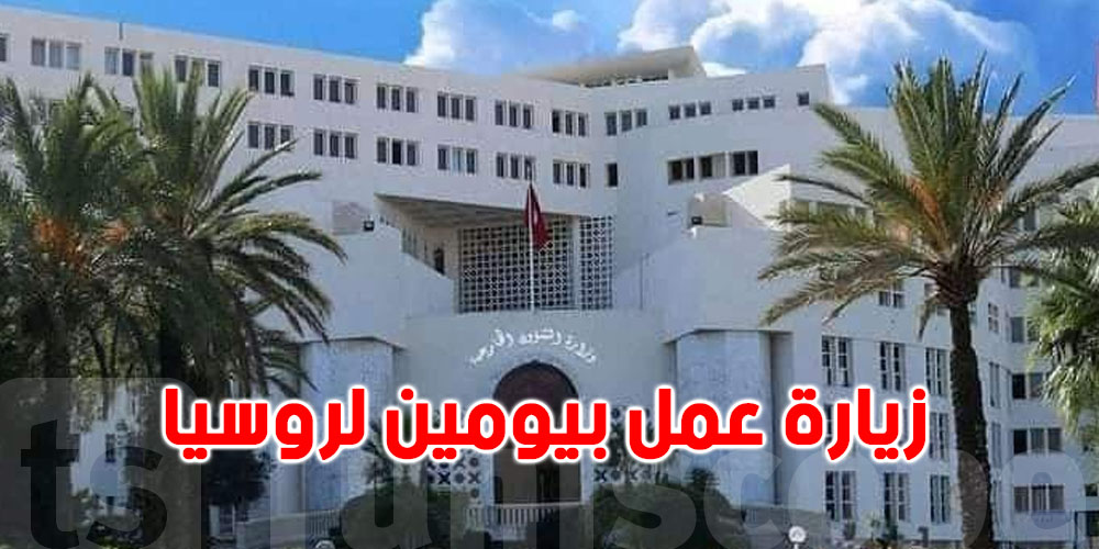 زيارة عمل لنبيل عمار الى روسيا بدعوة من لافروف