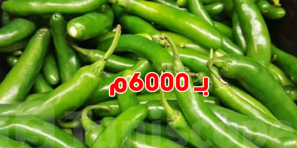 عاجل: سوم الفلفل بـم6000؟ شوف شنّوة صاير في سوق الخضر؟