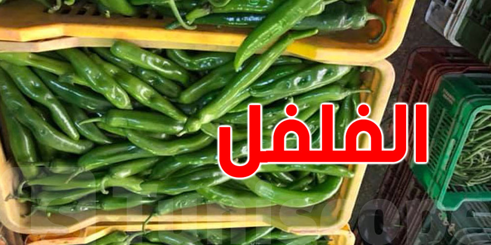 يهمّ كلّ تونسي: الفلفل في سوق الجملة بـ ''ألفين''