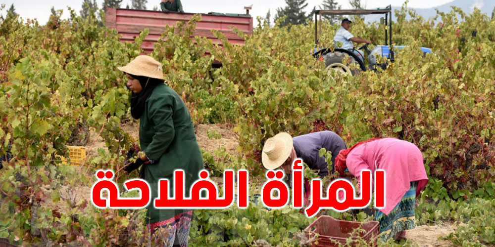 تونس: 92% من العاملات في القطاع الفلاحي لا تتمتعن بالتغطية الاجتماعية