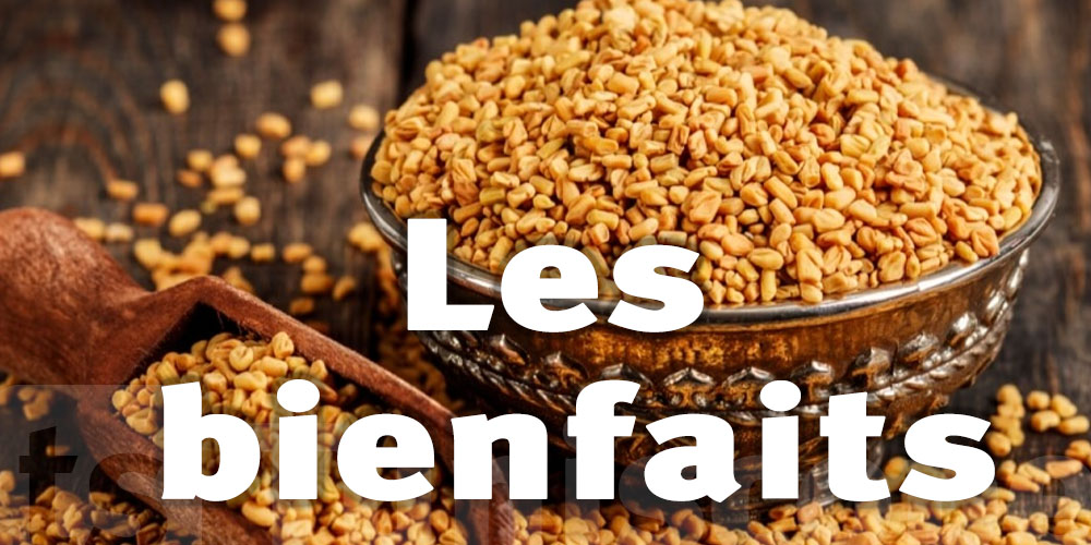 Pas cher du tout en Tunisie, le fenugrec super aliment beauté et santé
