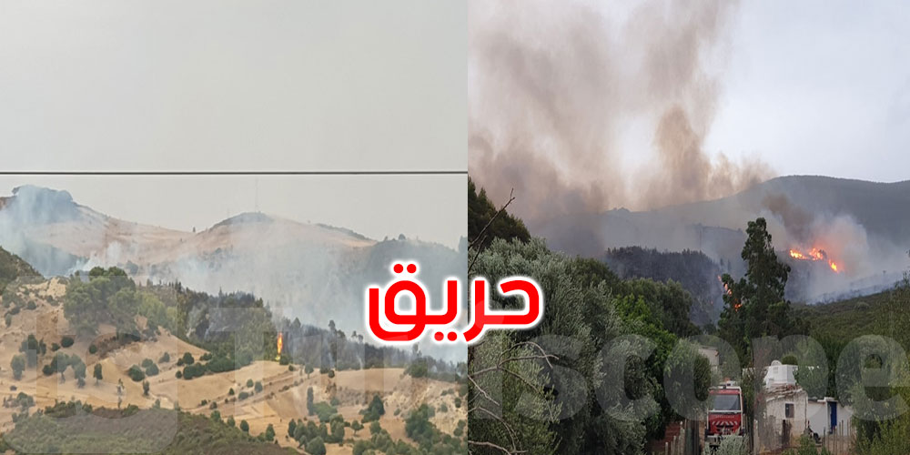 فرنانة: السيطرة على حريق أتى على 15 هك من الغابة