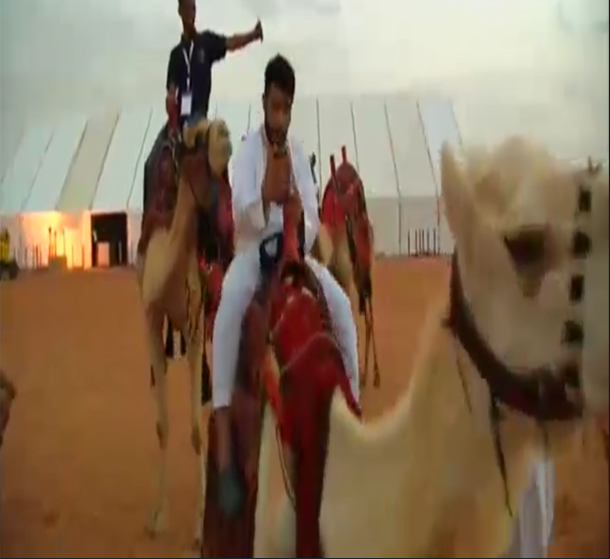 جوائز قياسية بالملايين في مهرجان الإبل بالسعودية