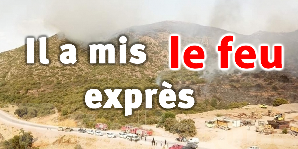 Tunisie : Les aveux d'un suspect qui a mis le feu dans une forêt