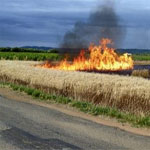 Incendie dans un champ de blé qui appartenait à Sakhr El Materi