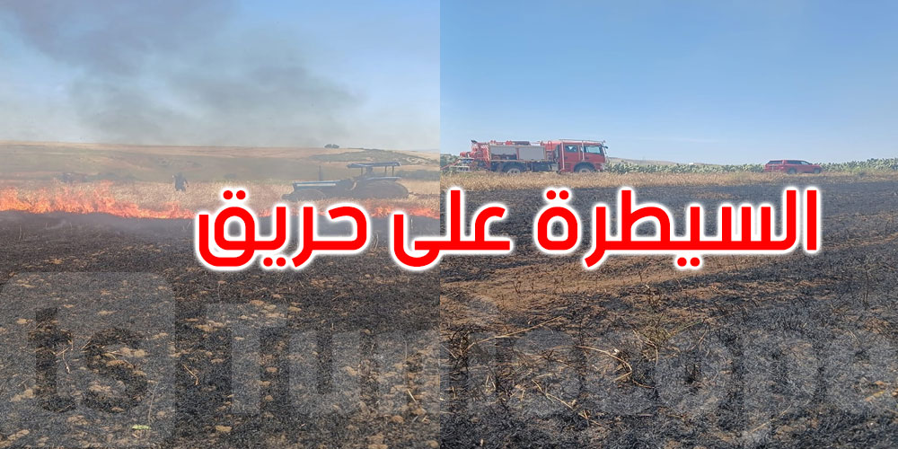 جندوبة: حريق بمزرعة قمح يأتي على حوالي 1.4 هكتار