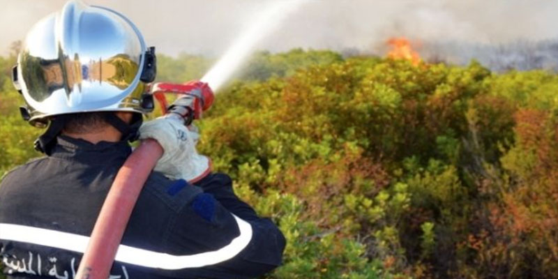 الحماية المدنية تتمكن من إطفاء 124 حريقا في يوم واحد