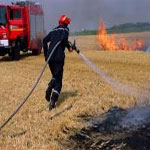 Incendie à Béja : 13 hectares de céréales partis en fumée