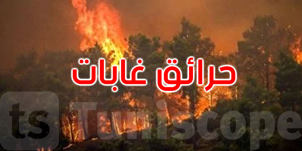 أمريكا: إجلاء 5 آلاف شخص من منازلهم جراء حرائق الغابات
