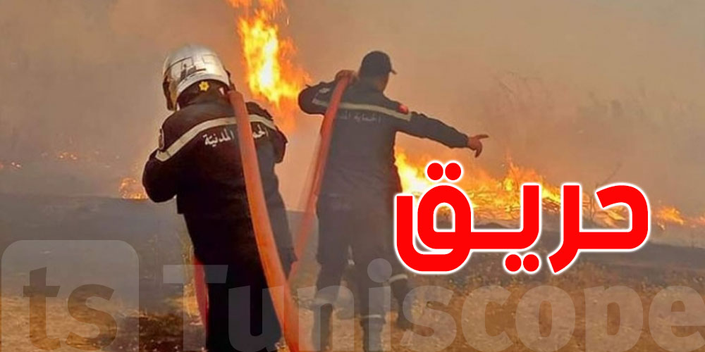 في 24 ساعة فقط: 325 تدخلاً للحماية المدنية و42 حريقاً في مختلف جهات البلاد