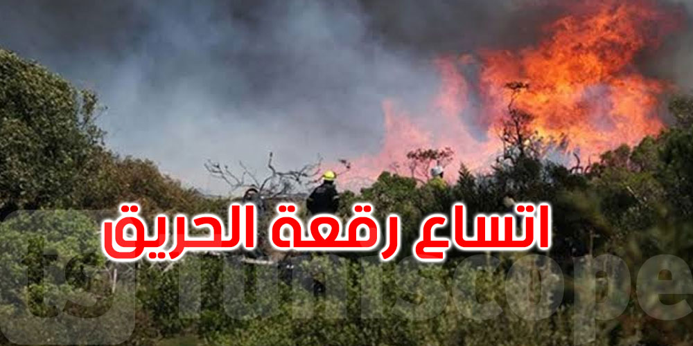 اتساع حريق جبل برقو وإجلاء نحو 100 عائلة