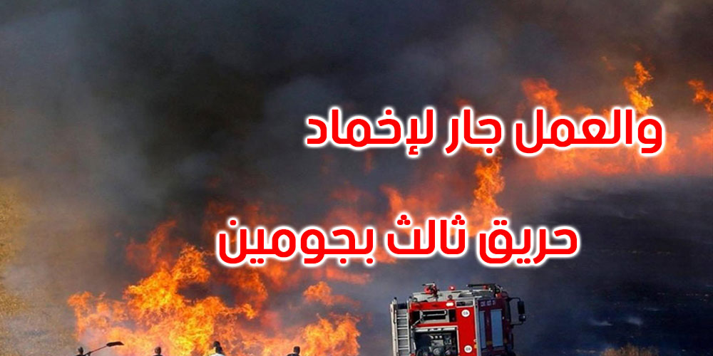 السيطرة على حريقين بغزالة وبنزرت الجنوبية