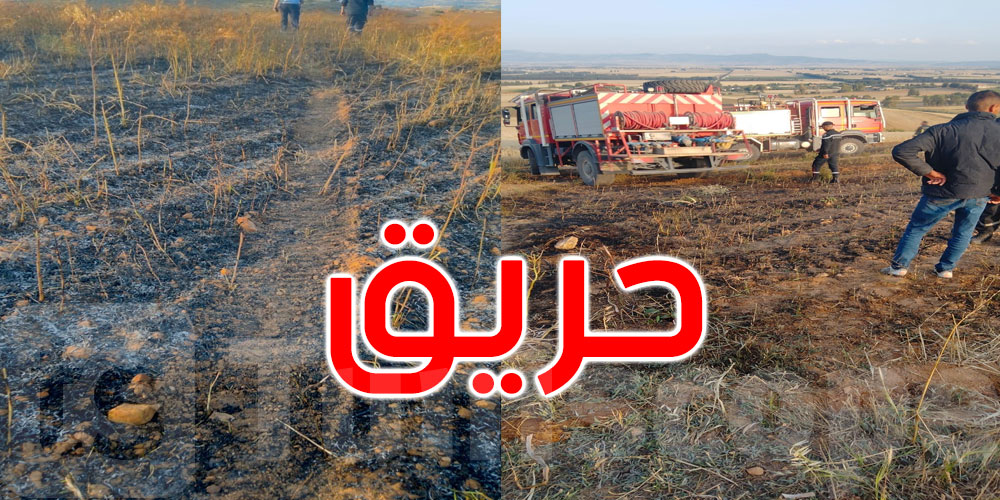 بوسالم: السيطرة على حريق اندلع بمزرعة قمح وشعير