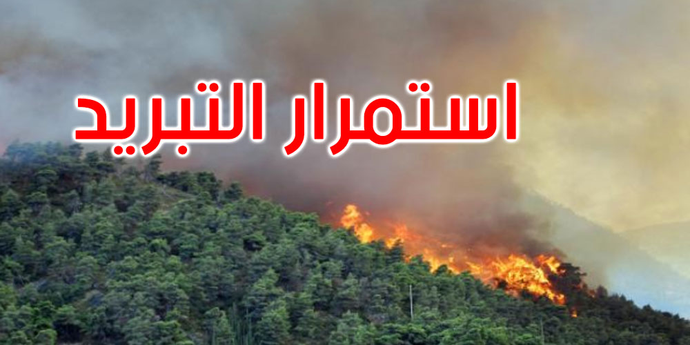 بنزرت: السيطرة نسبيا على حريق غابة سجنان واستمرار المراقبة والتبريد