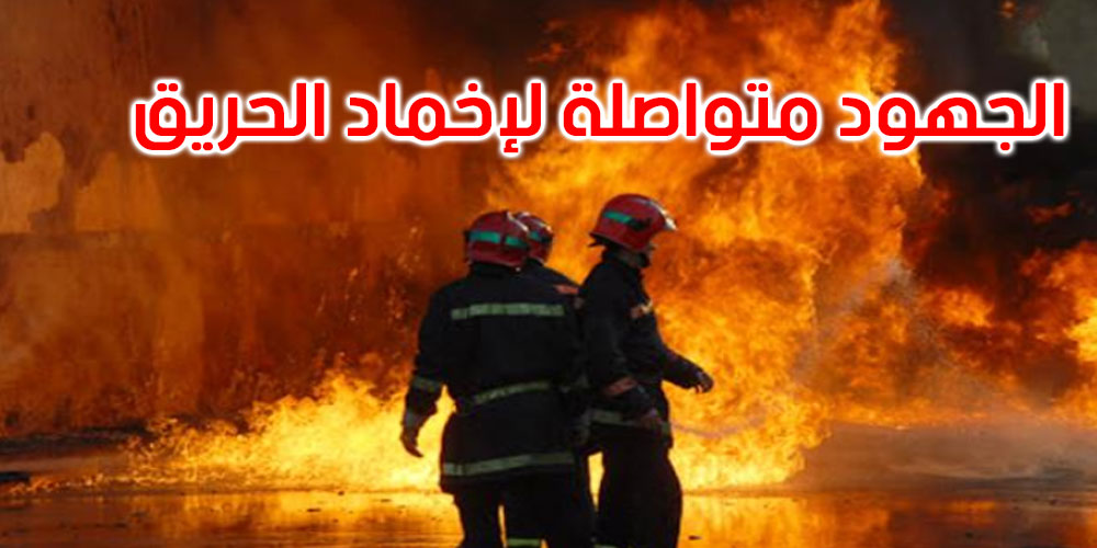 سليانة: اندلاع حريق هائل في جبل بوكحيل بالكريب